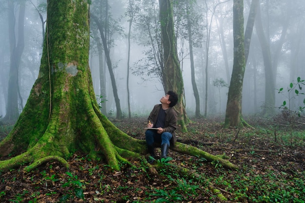 L'uomo esplora l'albero della natura nella foresta