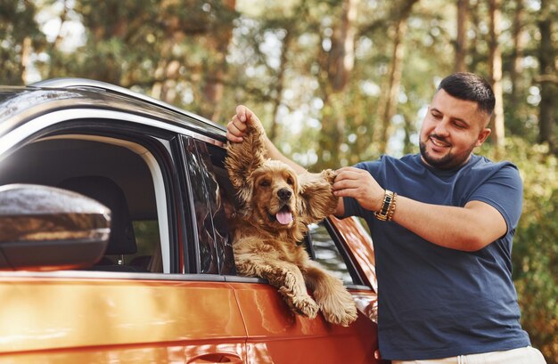 L'uomo fa una pausa l'auto nella foresta. Il simpatico cane nel veicolo guarda attraverso il finestrino.