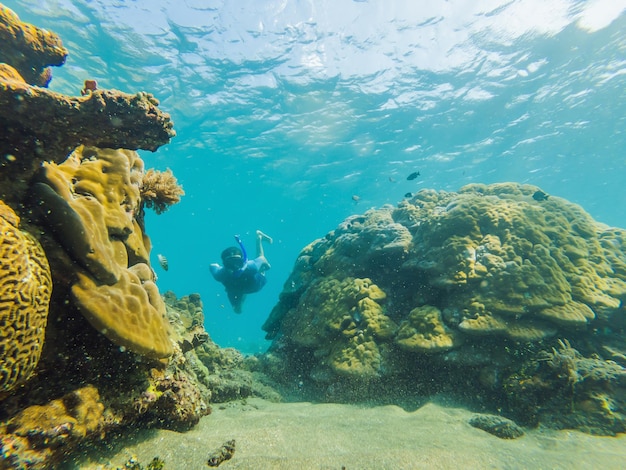 L'uomo felice in maschera per lo snorkeling si tuffa sott'acqua con i pesci tropicali nel viaggio in piscina del mare della barriera corallina