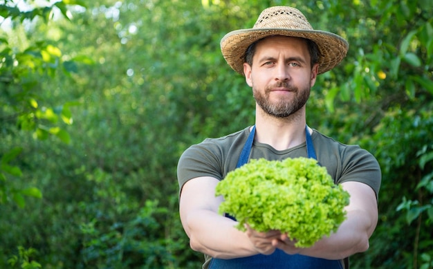 L'uomo fruttivendolo in cappello di paglia con foglie di lattuga copia spazio