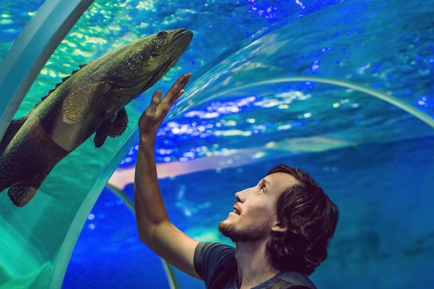 L'uomo guarda il pesce nell'acquario