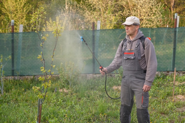 L'uomo lavora il giardino e spruzza irroratori chimici ricaricabili contro i parassiti sull'albero da frutto