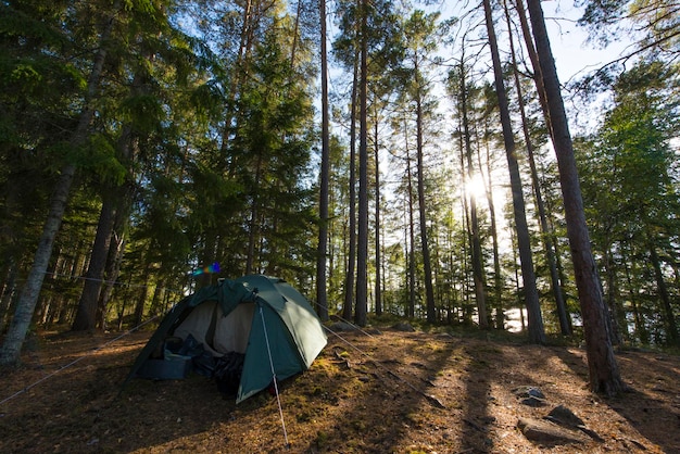 L'uomo nella foresta