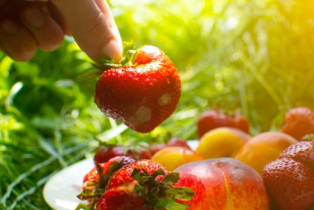 L'uomo prende fragole e pesche da un piatto sull'erba verde