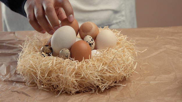 L'uomo prende le uova dal cesto e le mette nei baxoes Piccolo lavoratore agricolo