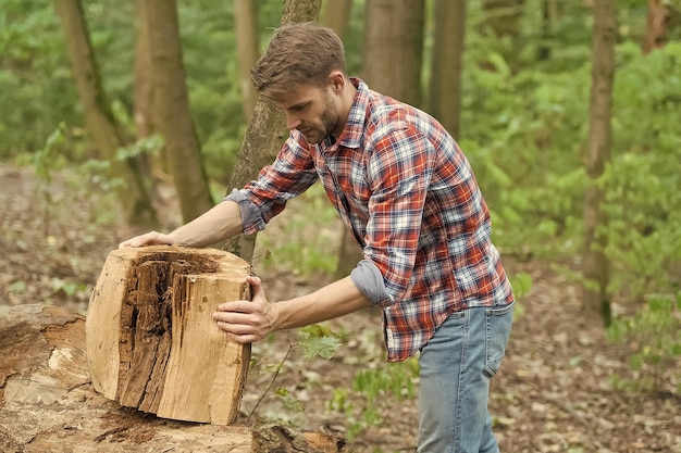 L'uomo prepara il ceppo di albero per tagliare la natura della foresta