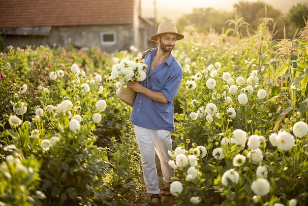 L'uomo raccoglie le dalie alla fattoria dei fiori all'aperto