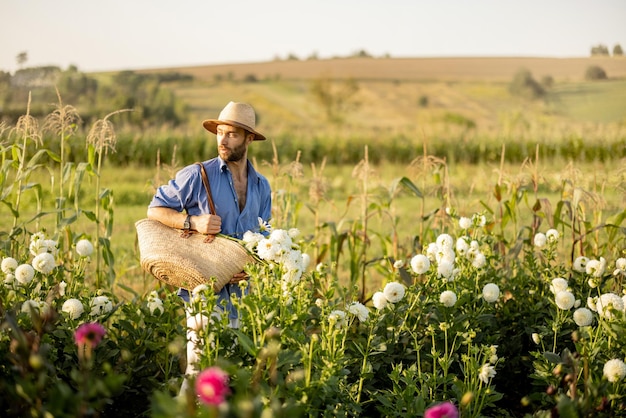 L'uomo raccoglie le dalie alla fattoria dei fiori all'aperto