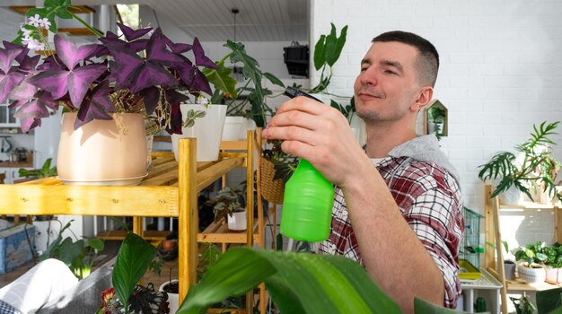 L'uomo spruzza da una pistola a spruzzo piante domestiche della sua collezione coltivate con amore sugli scaffali all'interno della casa Pianta domestica che cresce umidificazione dell'equilibrio idrico della serra