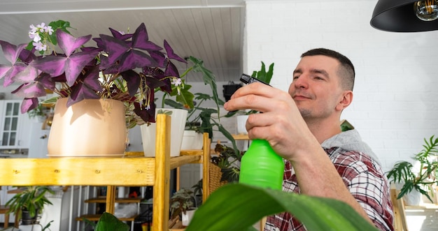 L'uomo spruzza da una pistola a spruzzo piante domestiche della sua collezione coltivate con amore sugli scaffali all'interno della casa Pianta domestica che cresce umidificazione dell'equilibrio idrico della serra