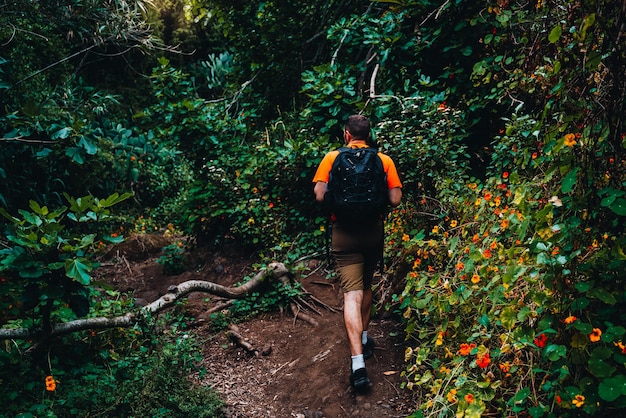 L'uomo sta facendo trekking nel mezzo della foresta