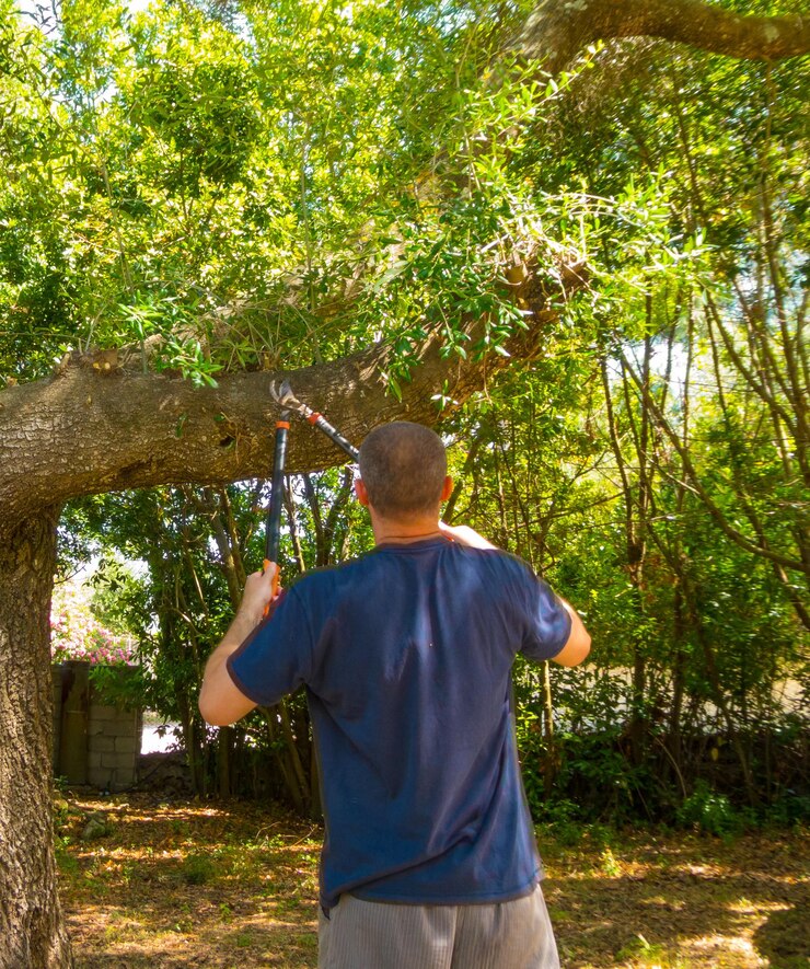 L'uomo usa le cesoie in un giardino