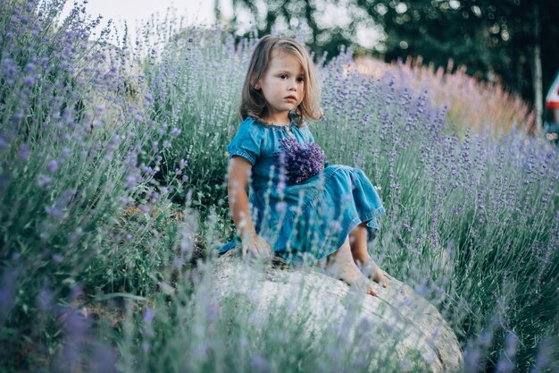 La bambina 3-4 con i capelli scuri in abito di jeans siede su una pietra tra grandi cespugli di lavanda lilla, con un mazzo di fiori