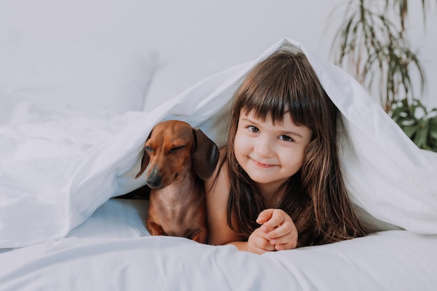 la bambina abbraccia il cane bassotto a casa a letto. biancheria da letto bianca. amore per gli animali domestici