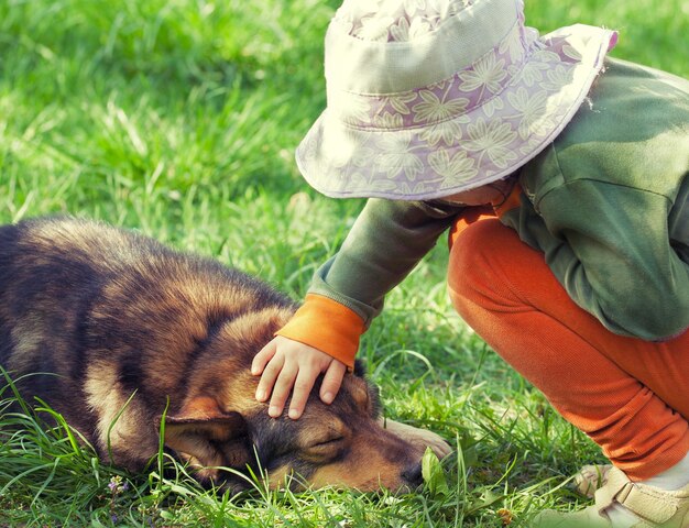 La bambina accarezza un grosso cane sull'erba