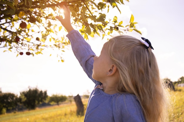 La bambina bionda raccoglie una mela da un albero nel giardino