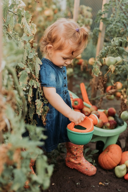 La bambina con gli stivali di gomma e il cappello di paglia sta innaffiando le piante di irrigazione in un giovane agricoltore della serra