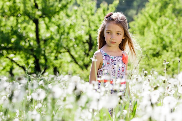 La bambina gode del dente di leone del fiore sul giorno soleggiato verde del prato o del campo in primavera.