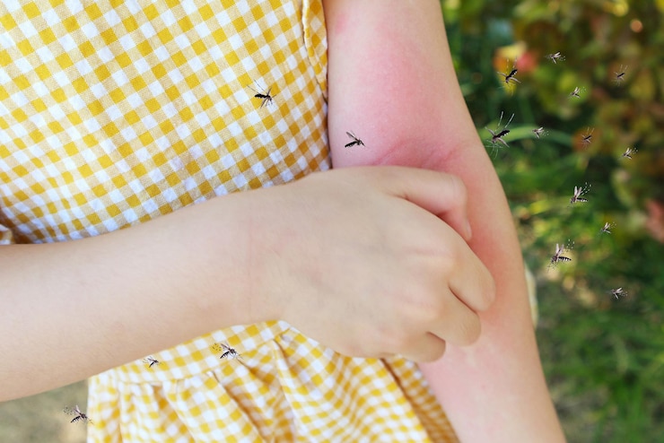 Foto la bambina ha un'allergia alle eruzioni cutanee e prurito al braccio a causa della puntura di zanzara
