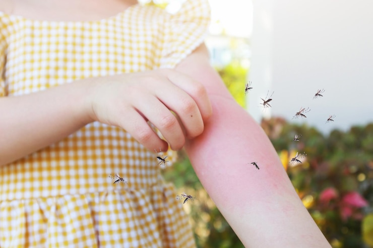 Foto la bambina ha un'allergia alle eruzioni cutanee e prurito al braccio a causa della puntura di zanzara