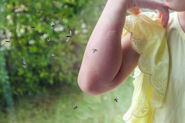 Foto la bambina ha un'allergia alle eruzioni cutanee e prurito al braccio a causa della puntura di zanzara