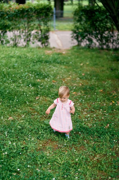 La bambina in un vestito cammina su un prato verde