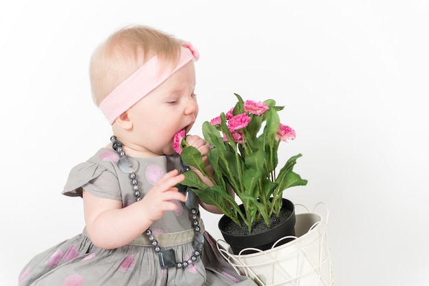 La bambina in vestito grigio gioca con i fiori e lo mangia nello spazio bianco