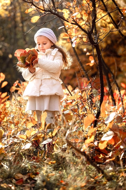 La bambina prende un mazzo di foglie gialle il giorno d'autunno