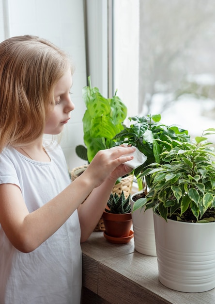La bambina pulisce il fogliame delle piante d'appartamento, cura delle piante d'appartamento