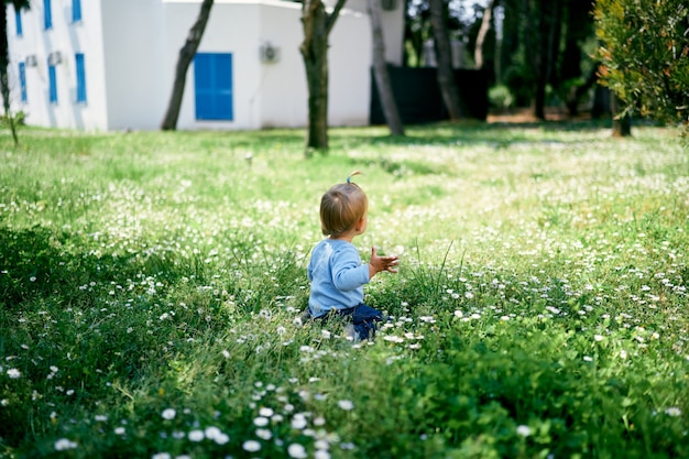 La bambina si siede sull'erba verde sullo sfondo di una vista posteriore dell'edificio