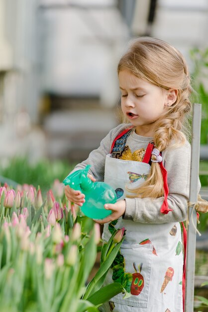 La bambina spruzza i tulipani d'acqua in una serra in primavera.