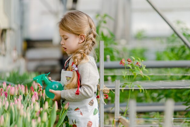 La bambina spruzza i tulipani d'acqua in una serra in primavera.