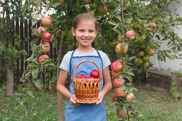 La bambina sta sullo sfondo del giardino e tiene un cesto con mele rosse