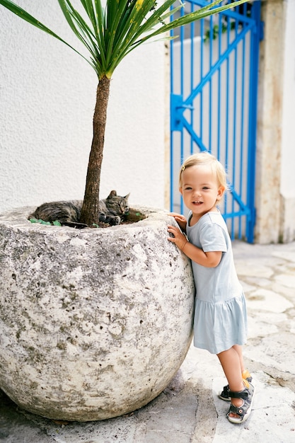 La bambina sta vicino a una vasca con una palma in cui dorme un gatto