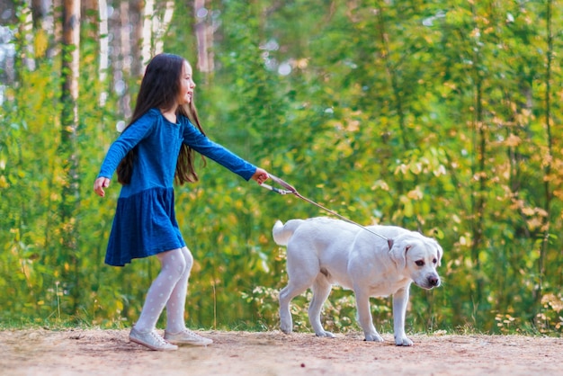 La bambina sveglia cammina il cane nel parco Labrador bianco