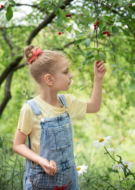 La bambina sveglia sceglie una ciliegia da un albero nel giardino dei ciliegi