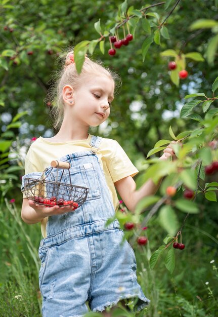La bambina sveglia sceglie una ciliegia da un albero nel giardino dei ciliegi