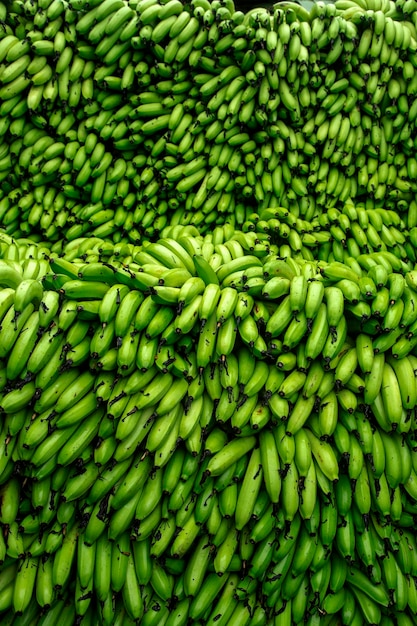 La banana verde viene tagliata dal campo