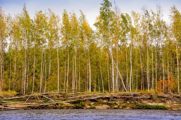 La banca del fiume Nadym. Yamal.