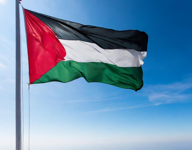 La bandiera nazionale della Palestina