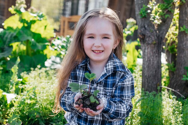 La bella bambina tiene le piantine della fragola nelle sue mani