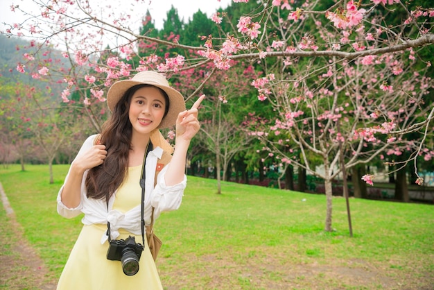 la bella blogger femminile che visita il famoso parco di piante di ciliegio si diverte a vedere i fiori di ciliegio e ad indicare i fiori rosa sakura per condividere lo scenario per la famiglia e gli amici durante un viaggio in Giappone.