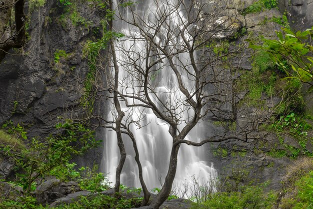 La bella cascata nella foresta profonda a Khlong Lan National Park