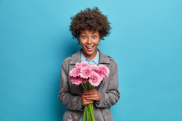 La bella donna allegra con capelli afro tiene i fiori della gerbera vestita in giacca grigia isolata sopra la parete blu