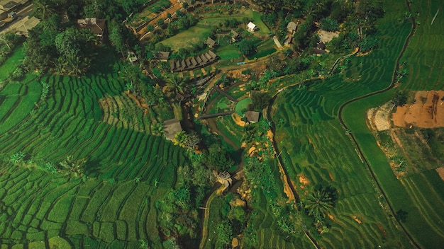 La bella mattina nel vecchio villaggio dell'Indonesia