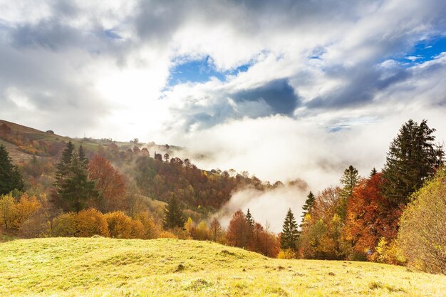 La bella natura autunnale e la nebbia nebbiosa scorre intorno alle montagne al mattino con un sole mite Stagione autunnale sulla montagna dei Carpazi in Ucraina