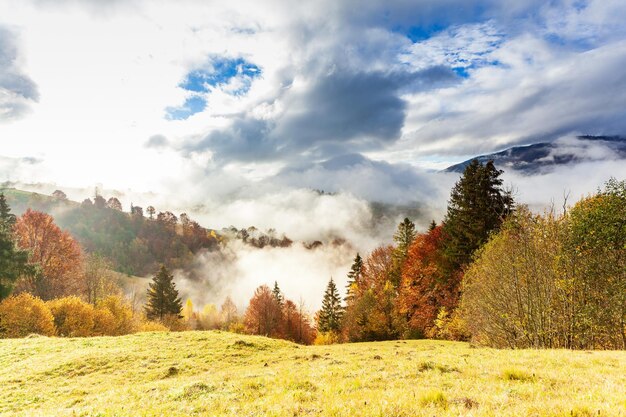 La bella natura autunnale e la nebbia nebbiosa scorre intorno alle montagne al mattino con un sole mite Stagione autunnale sulla montagna dei Carpazi in Ucraina