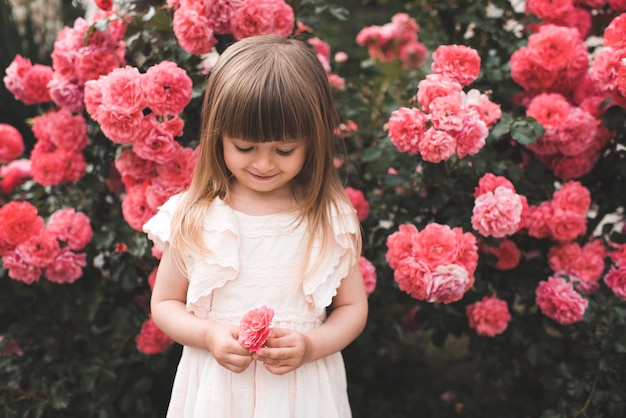 La bella ragazza del bambino indossa un fiore di rosa sul cespuglio in fiore in giardino