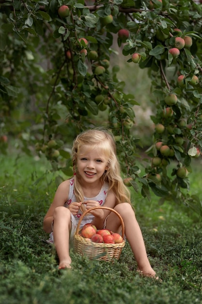 La bella ragazza si siede in un frutteto di mele con un cesto di mele