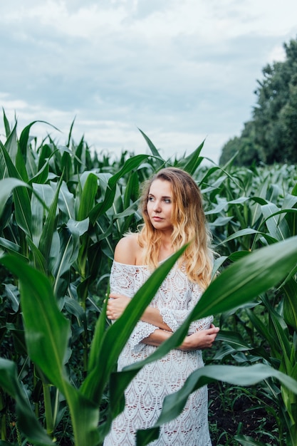 La bella ragazza sta nel campo di giovane cereale. Agricoltura.